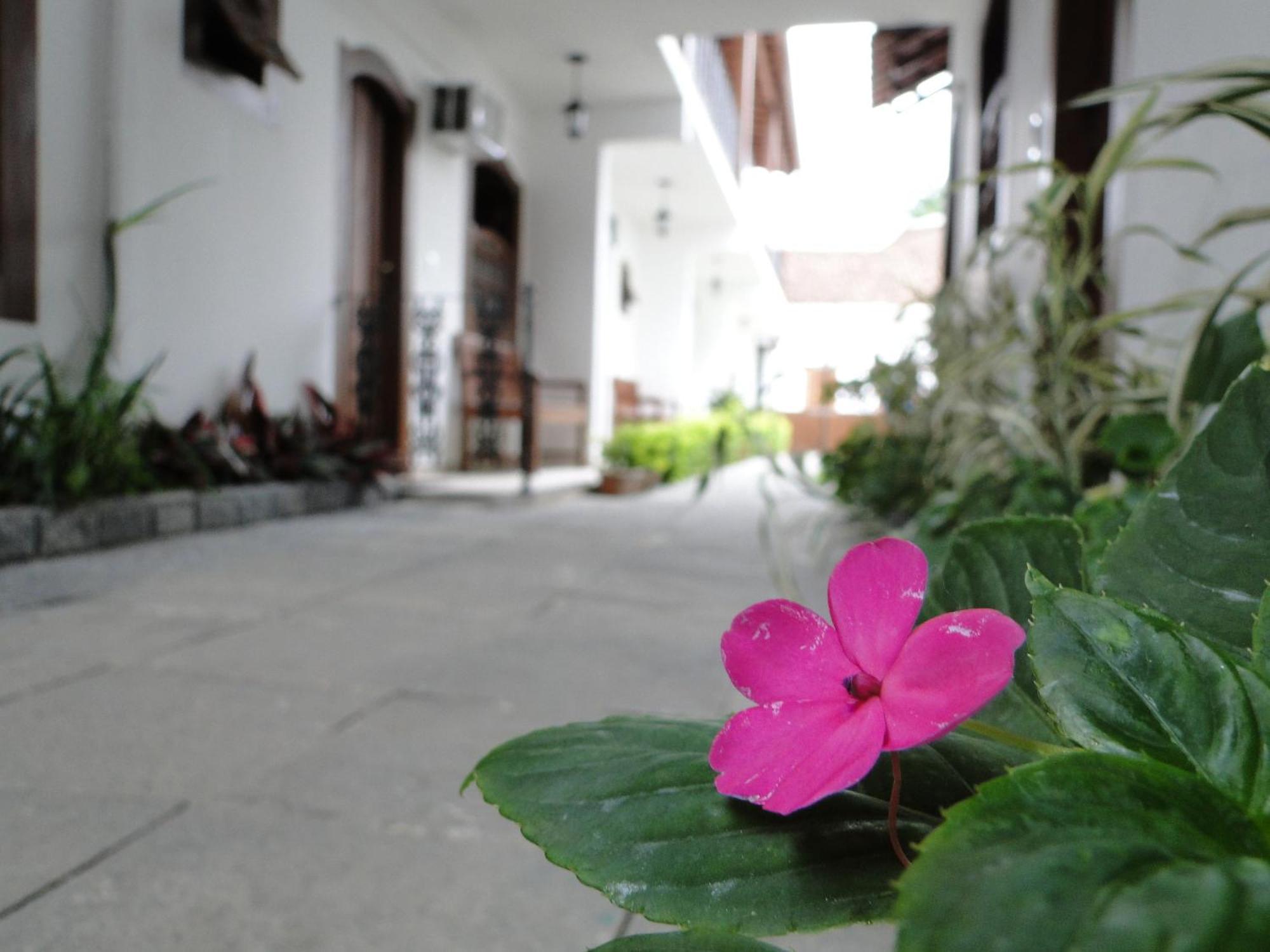 Pousada Doce Araquari Buitenkant foto